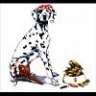 spot-a-seadog