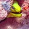 deepbluedivers69