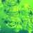 greengo233
