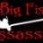 bigfishassassin