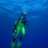 Green Flash