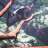 swimboyy