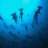 RynaDiver