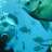 nitroxdiver63