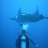 Sharkgirl33
