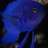 Blue_Devil