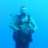 Mr. Rob The Diver