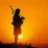 highlandpiper