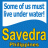 savedra.dive.center