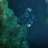 NC_Scuba_Diver