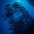 Deepdiversa