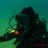 DB_diver