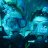 AlwaysADiver