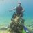 ILIAS_GREECE