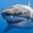 SharkDodger