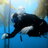 nudi_hunter