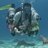 jelly_fish