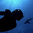 fish_defender