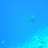 drmdiver