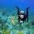 scubachristina