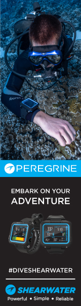 https://www.shearwater.com/products/peregrine/