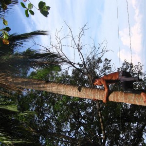 Bunaken Island Sept 2005