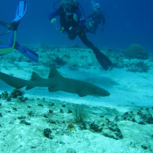 Cozumel 2005