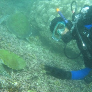 1st Underwater Dive Album