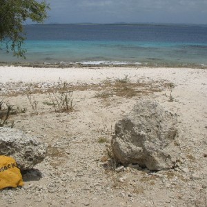 Bonaire 06