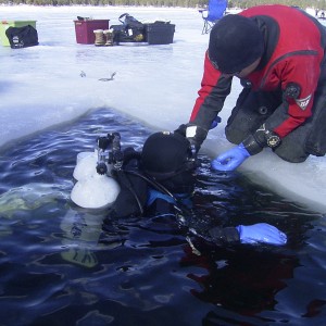 Ice Diving February 11