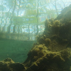 Morrison Springs