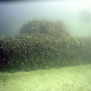 Dive Wrecks