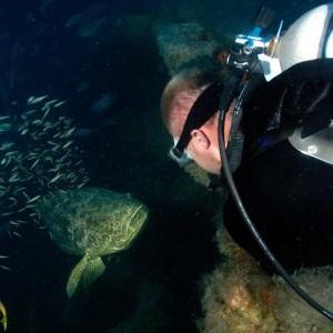 Baja California Wreck - Ultimate Getaway