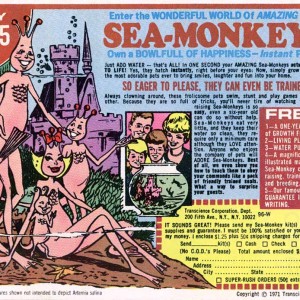 Sea-Monkeys