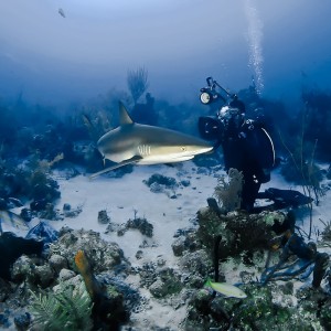 Turks and Caicos