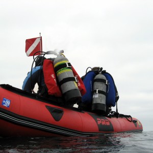 Boat Diving - Monterey - February 18th, 2008