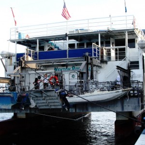 Nekton Rorqual - Medio Reef, Apr 2008