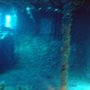 Diving Black Friday 2008
