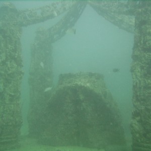 Neptune Memorial Reef