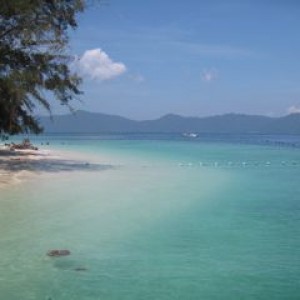 Scuba Diving in Sabah, Borneo