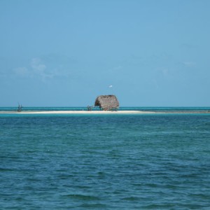 Long Caye Belize, March 2009