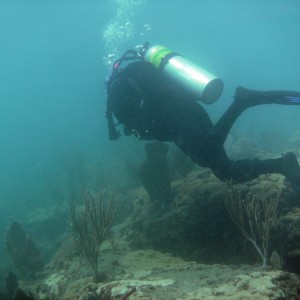 2009 0404 Pompano Ledge