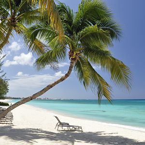 Cayman On-land