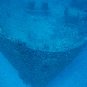 The Best of Key Largo Reefs 2008