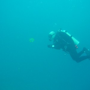 Lee's diving trips