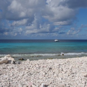 Bonaire 08