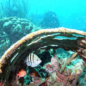 Bonaire