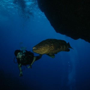 Fernando de Noronha