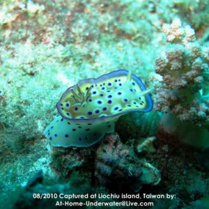 Liochiu Island, South Taiwan