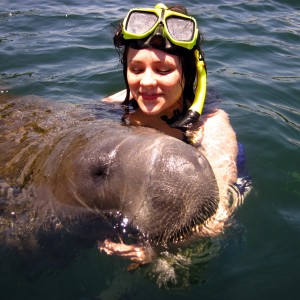 Snorkeling with Manatees